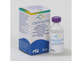 Caninsulin 10ml