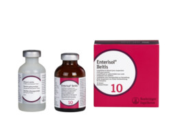 Enterisol Ileitis 10ds 20ml