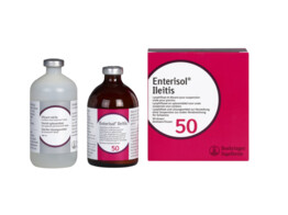 Enterisol Ileitis 50ds 100ml