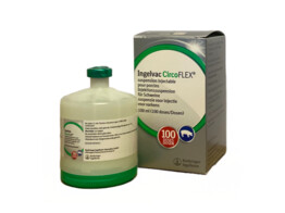 Ingelvac Circoflex TP 100ml 100ds