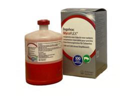 Ingelvac Mycoflex TP 100ml 100ds