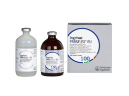 Ingelvac PRRS-FLEX EU 100ds 100ml