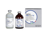 Ingelvac PRRS-FLEX EU 100ds 100ml