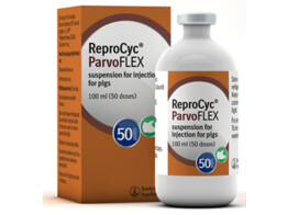Reprocyc Parvoflex 100ml 50ds