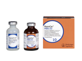 Reprocyc PRRS EU 10ds 20ml