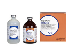 Reprocyc PRRS EU 50ds 100ml