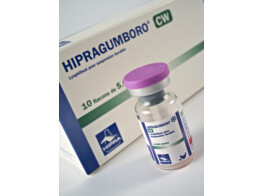 Hipragumboro CW 10X5000ds