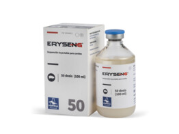Eryseng 50ds