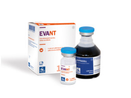 Evant   Hipracell 1000ds