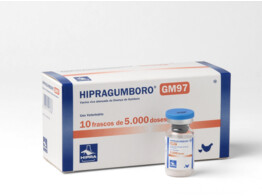 Hipragumboro GM97 10X5000ds