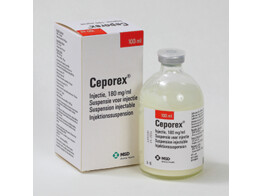 Ceporex Inj 100ml