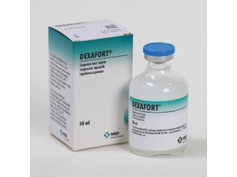 Dexafort 50ml
