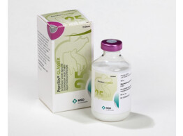 Porcilis Glasser 50ml 25ds