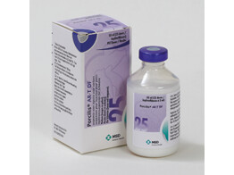 Porcilis Art Df 50ml