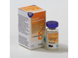 Porcilis Lawsonia 50ds