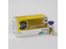 Porcilis Lawsonia ID 10X200ml