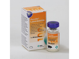 Porcilis Lawsonia 100ds