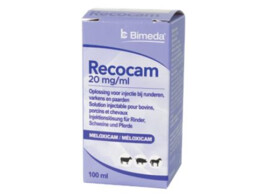 Recocam 20mg/ml 100ml