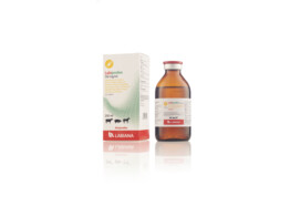 Labiprofen 150mg/ml 250ml