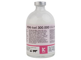 Peni-Kel 30 Mio 100ml