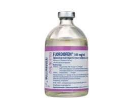 Flordofen 300mg/ml 100ml