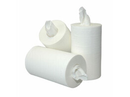 NL Pharma Mini Papierrol 2-laags 60m x 20cm ds 12 rol