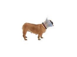 Hondenkraag Buster E-Collar Kortsnuitig M per 10 stuk